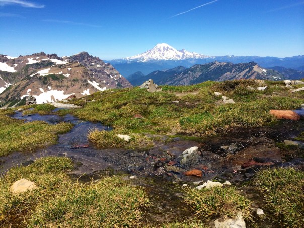Mt. Rainier