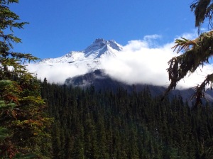 Mt Jefferson from Whitewater Trail