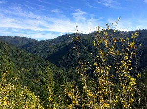 Views of Wilson River Valley along the Trail