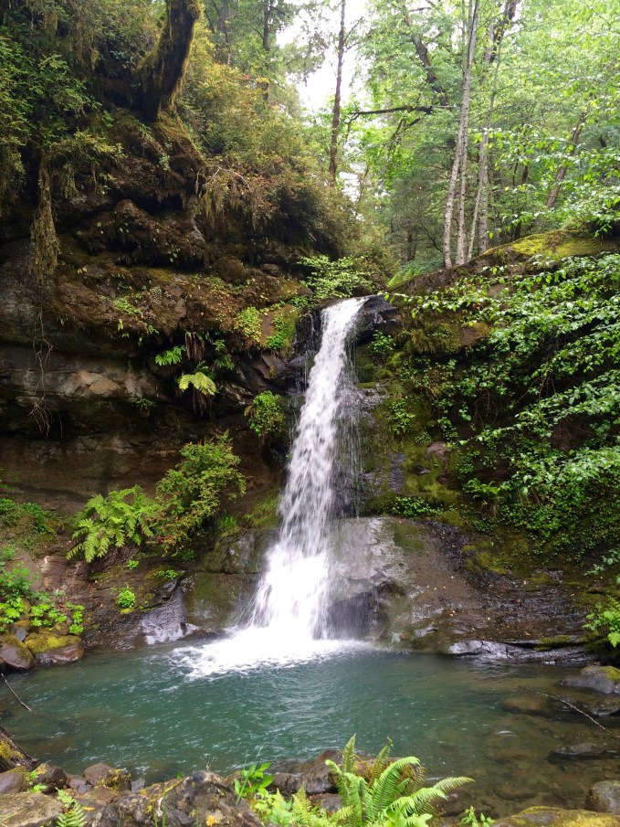 FloraDellFalls