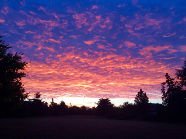 Sunrise at Broadway Park