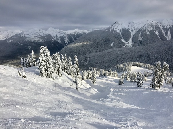 Perfect Ski Conditions