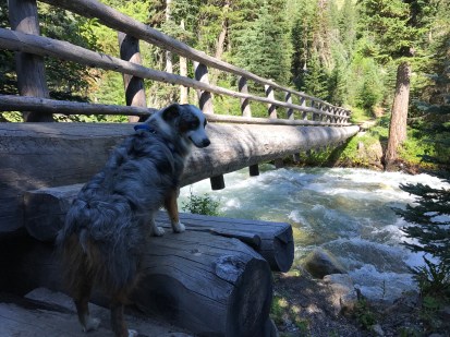 Bridge over Wallowa River