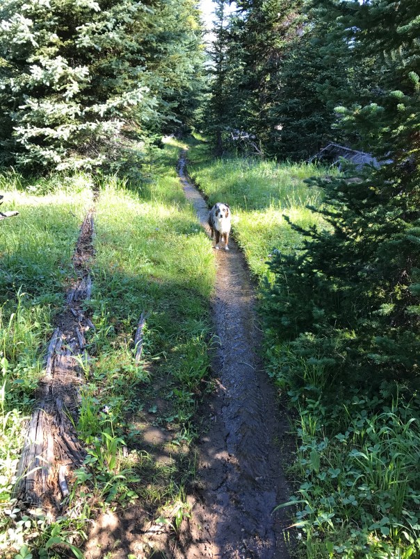 Trail to Frazier Lake
