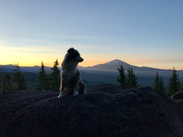Brook with Sunrise over Mt Bachelor