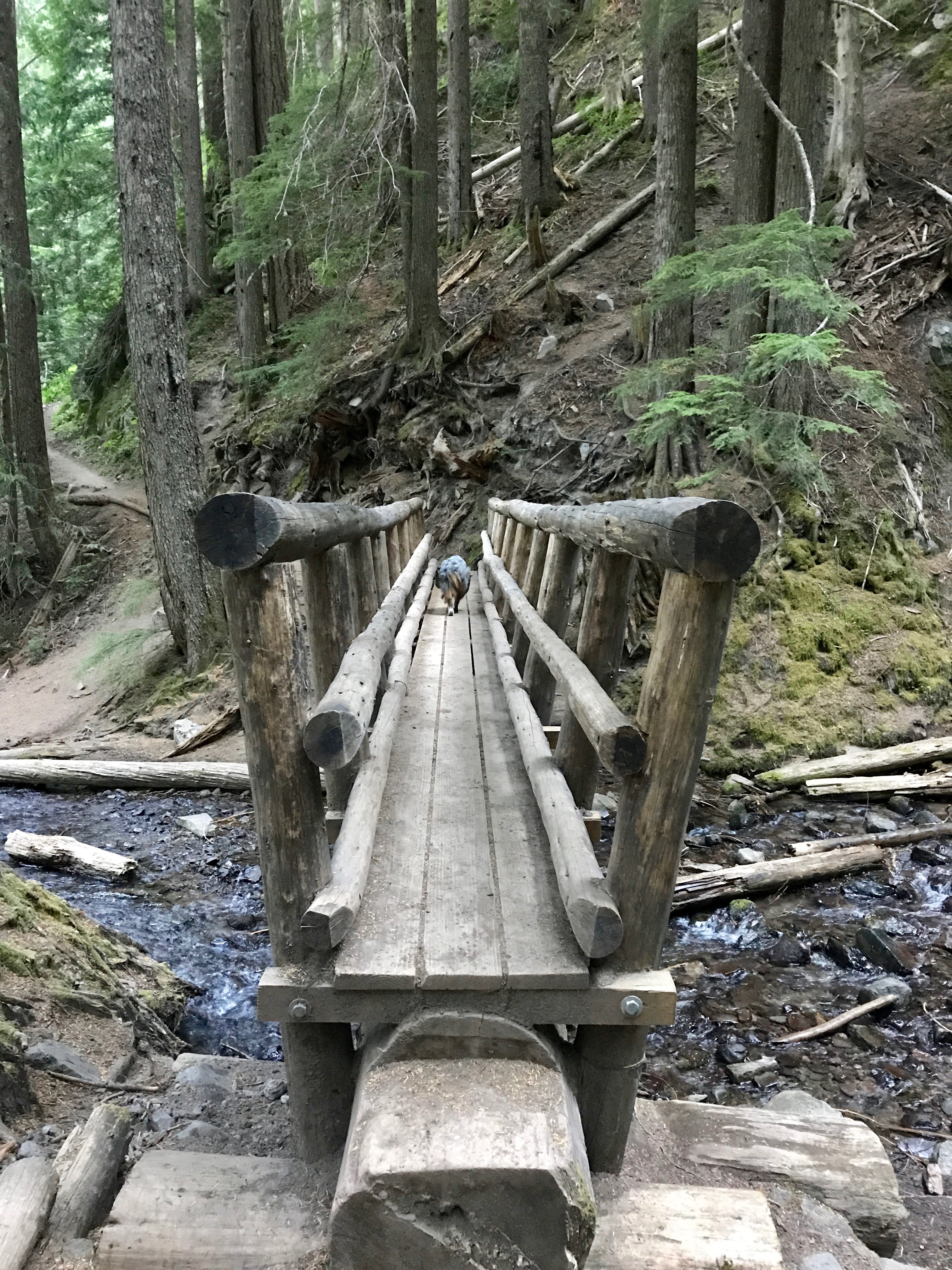 Bridge at Ramona Falls