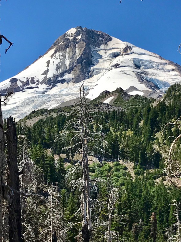 North Side of Mt Hood
