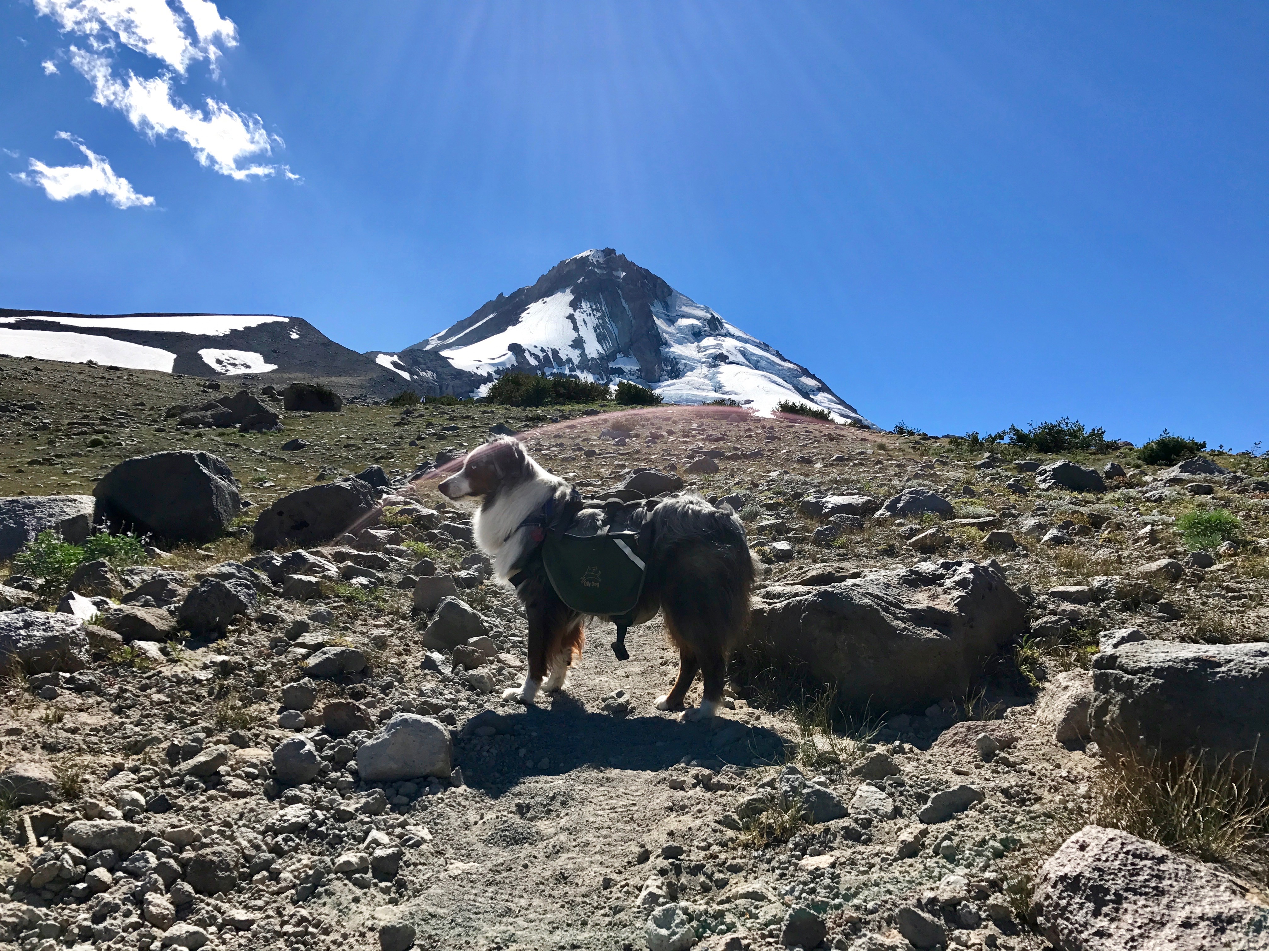Climbing to High Point