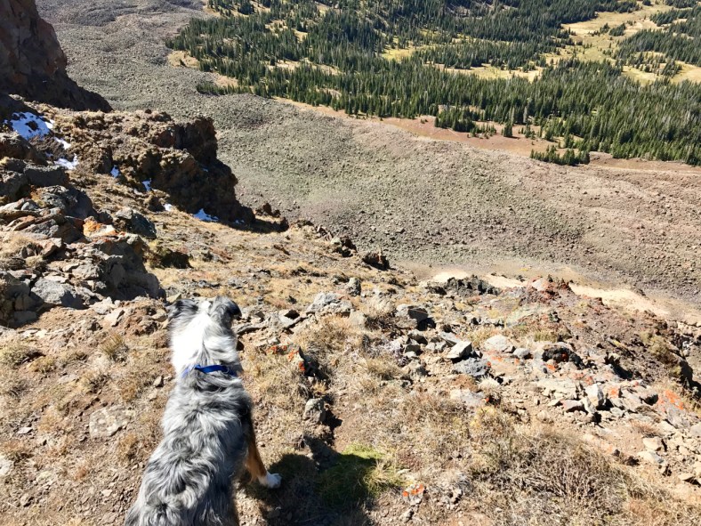 Brook Looking over the Edge