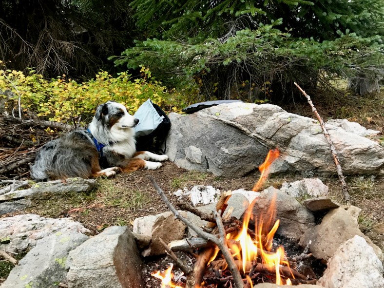 Campfire at Gold Creek