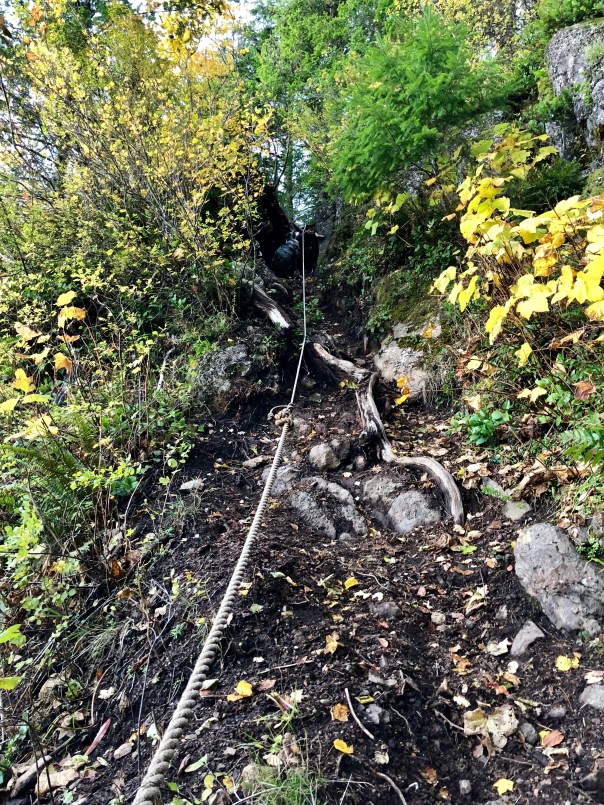 Brook Needed some Help