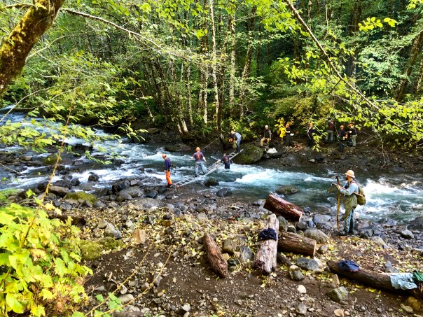 Forest Service Work Crew