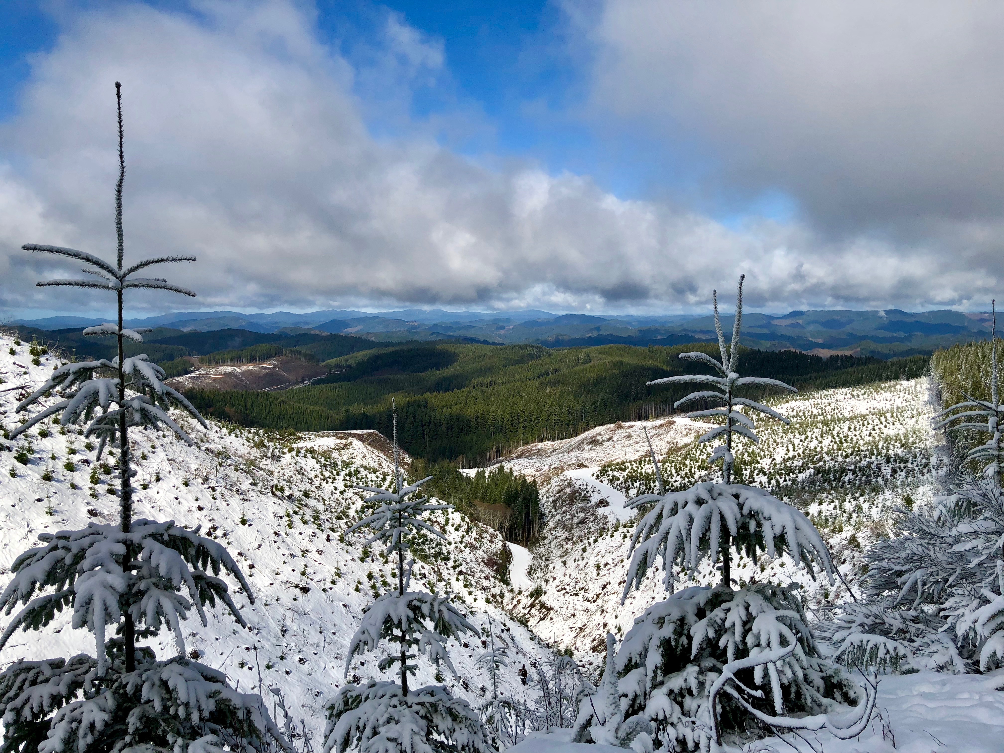 View from BLM Rd 28 where I got stuck in the snow.