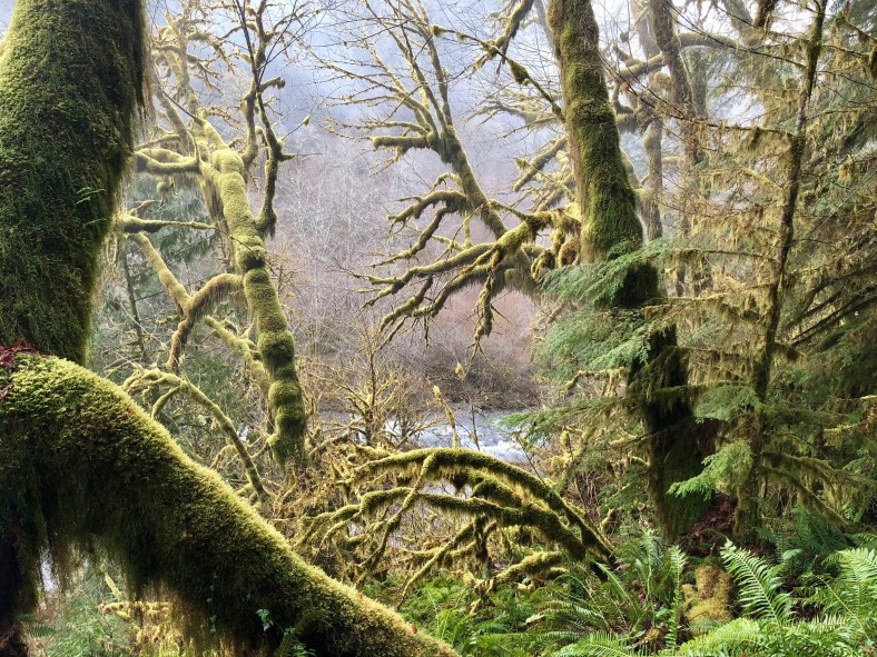 Looking Down on the NF Smith