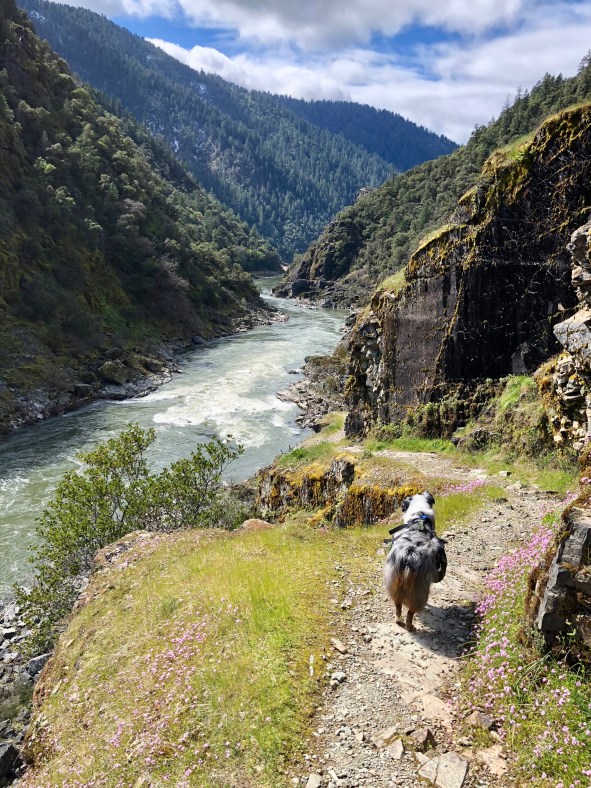 Starting out on the Rogue River Trail