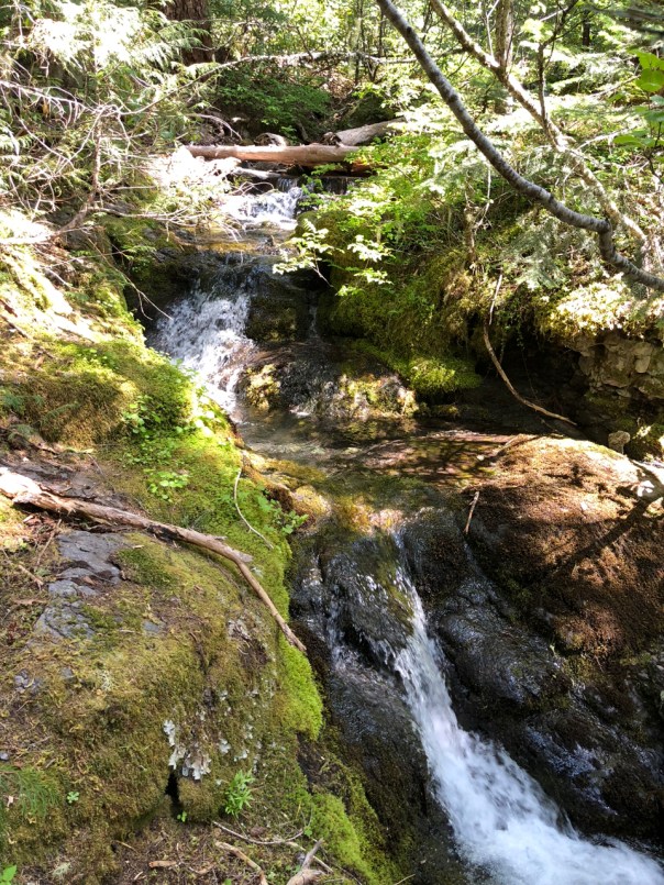 Stream near Pansy TH