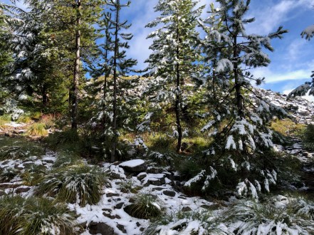 Approaching the View Summit
