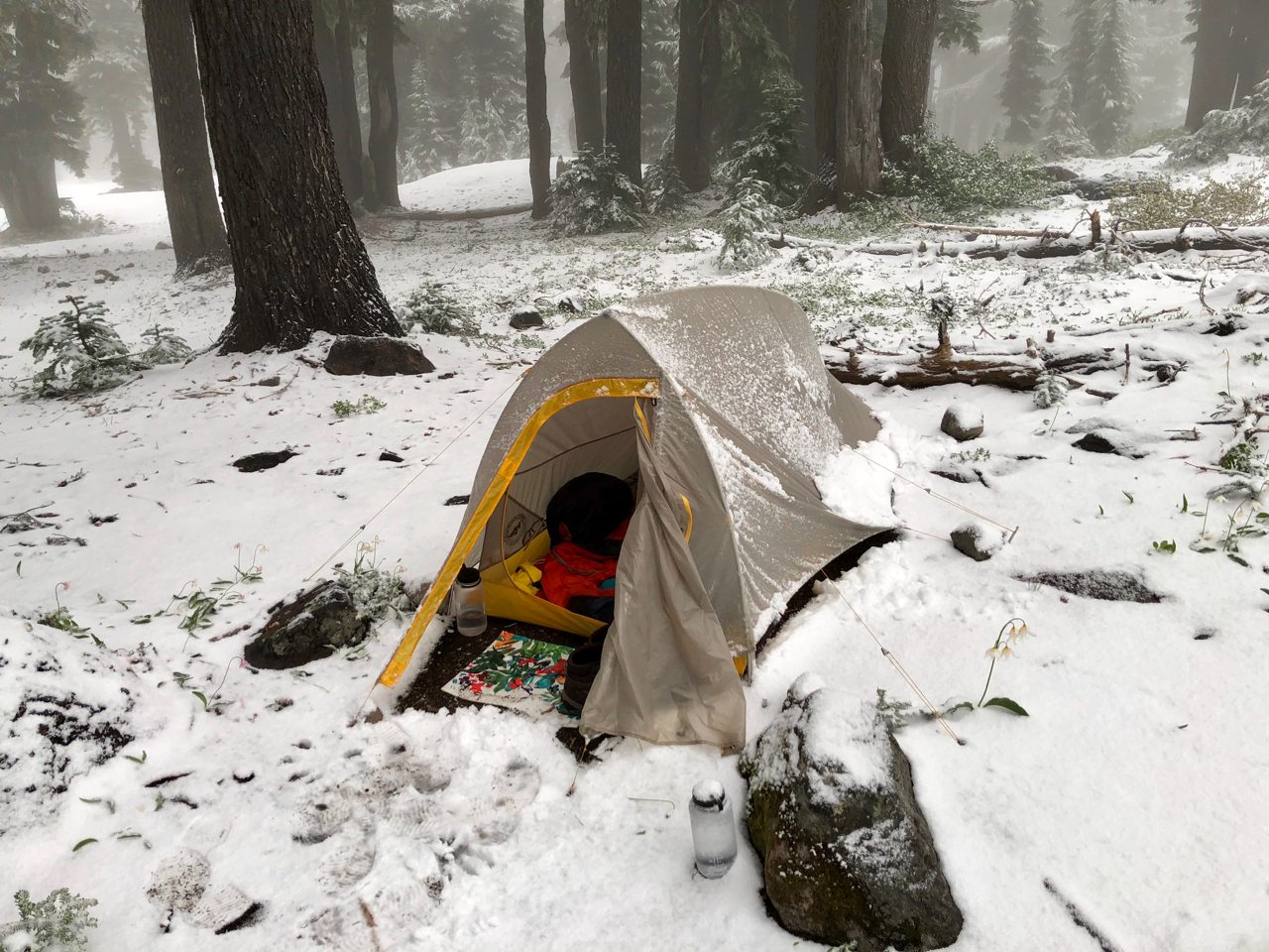 TimberlineTr2019Post - 19