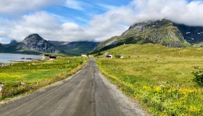 Road to Selfjord Bay Trailhead
