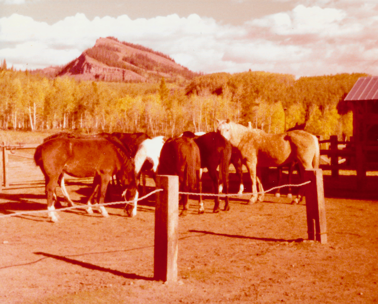 79HorseRabbitEarsLodge