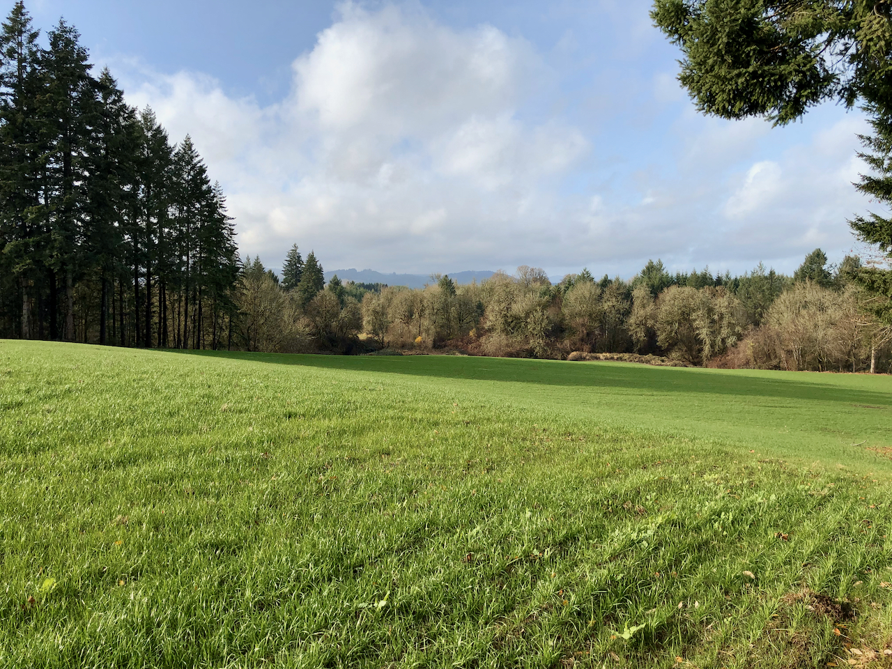 Hiking on the Chegwyn Farm