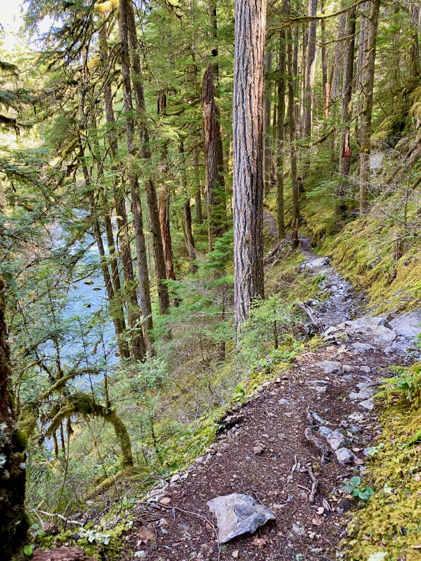 TrailAboveCreek