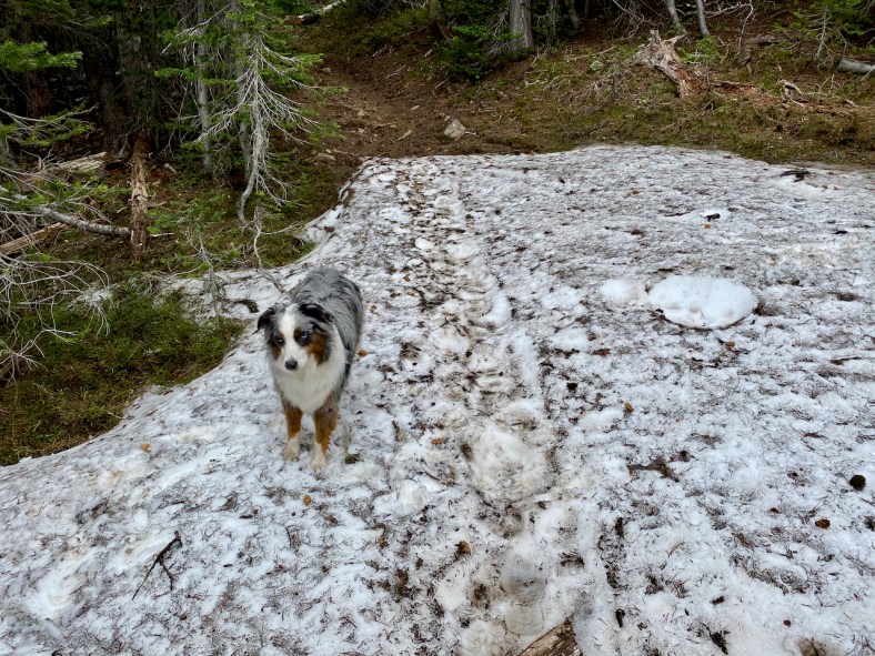 Snow on the Slide Lake Trail