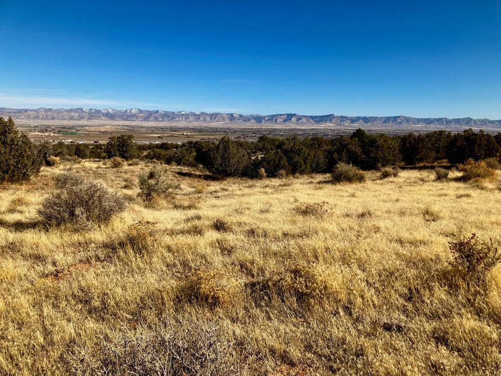 View of the Grand Valley
